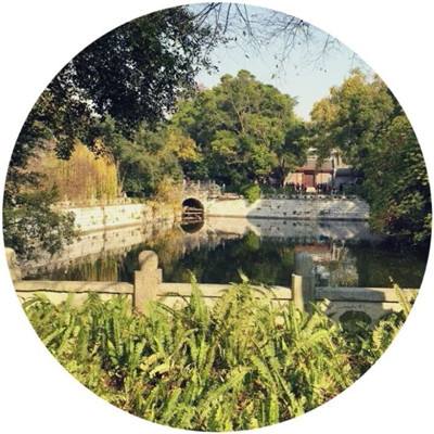 恋爱吧偶像内测版下载